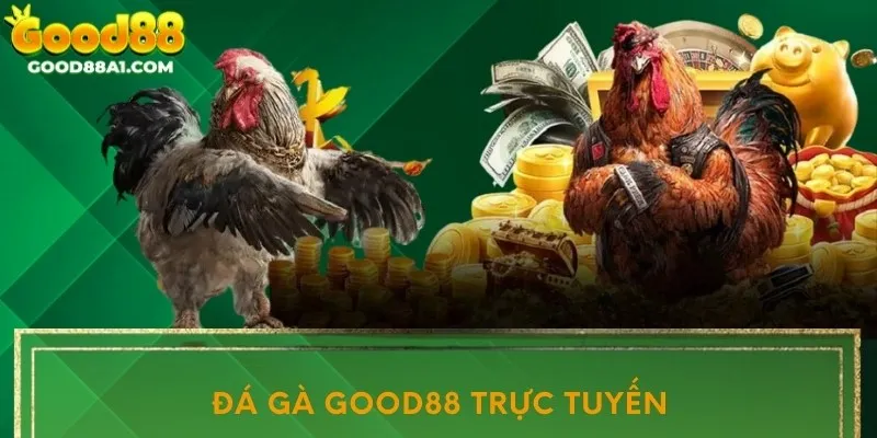 Đá gà good88 Bet trực tuyến